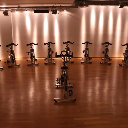 Ξενοδοχείο Schwanen Stuttgart Airport/messe 3*